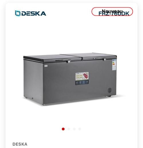 CONGELATEUR DESKA FRZ760 800L